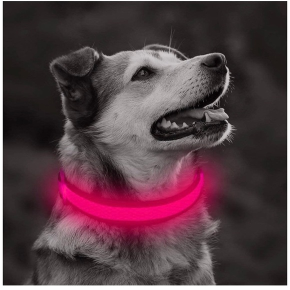 🆕 Clan-x LED Dog Collar, USB Rechargeable& Adjustable - Picture 5 of 7